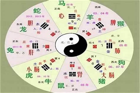 哲五行|哲的五行属性及寓意